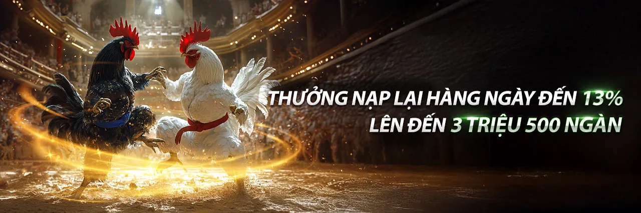 Hoàn trả tiền mặt cao hơn cho VIP 22bet nhà cái